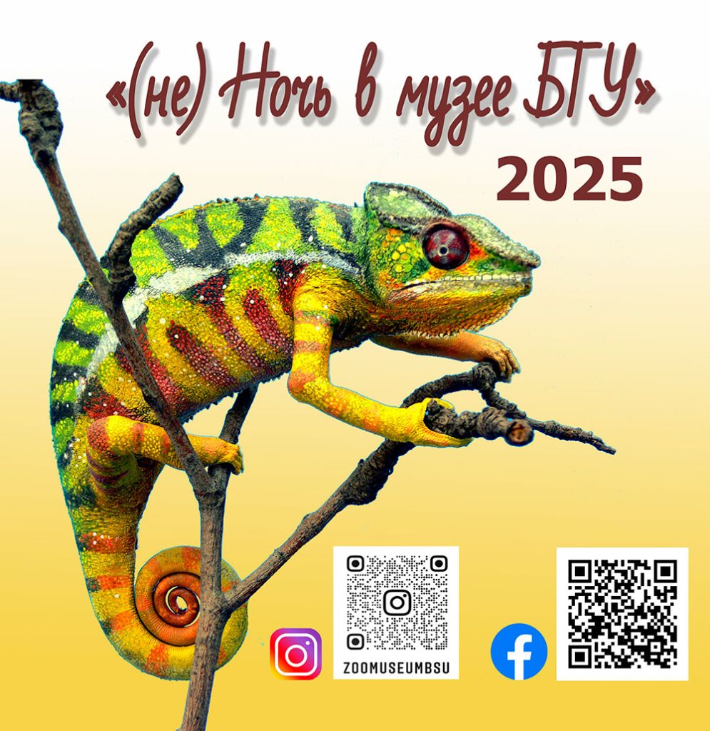 Ночь музеев 2025 в Зоологическом музее БГУ