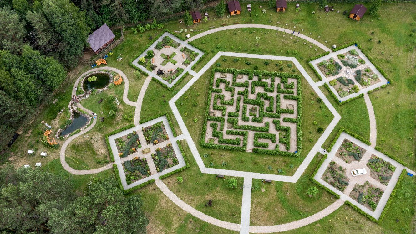 Музей под открытым небом, где экспонаты… растут: 5 тайн Аптекарского сада