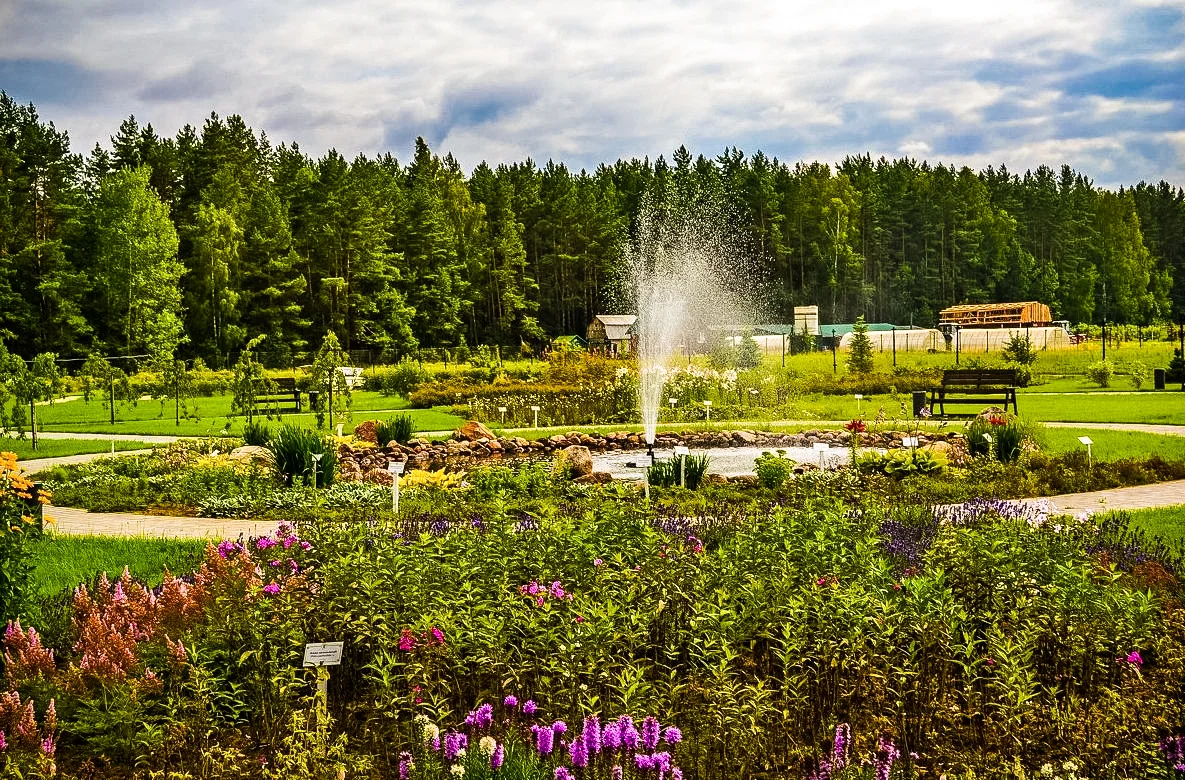 Музей под открытым небом, где экспонаты… растут: 5 тайн Аптекарского сада